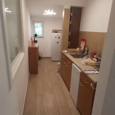 Darvinova * Voždivac