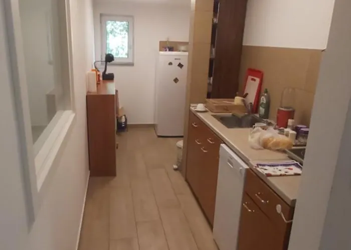 Darvinova * Vozdivac